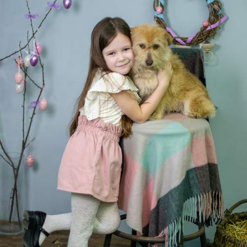 Photo #12143930