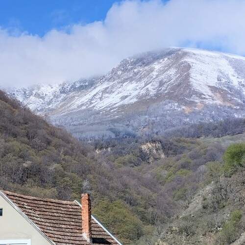 Photo #12144043