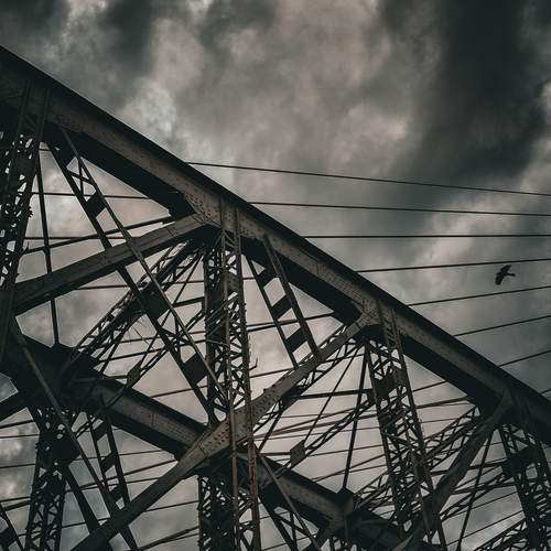 Photo #12144206