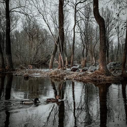 Photo #12144217