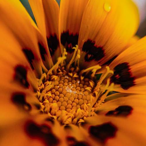 Photo #12144312