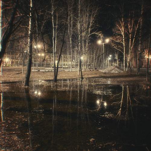Photo #12144494