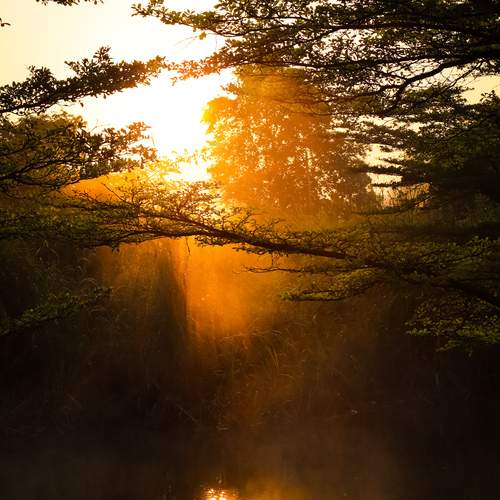 Photo #12144530