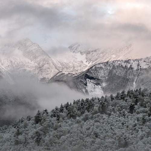 Photo #12144625