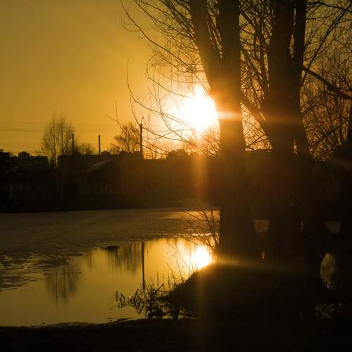 Photo #12144852