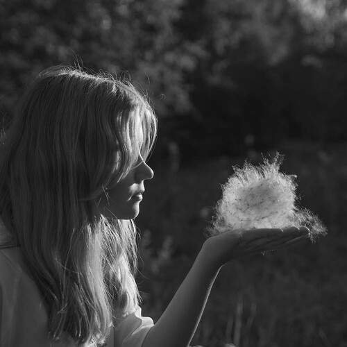 Photo #12145432
