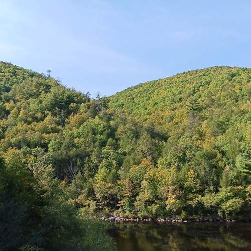 Photo #12145436