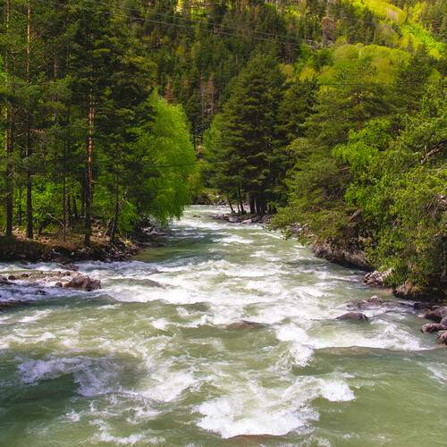 Photo #12145460