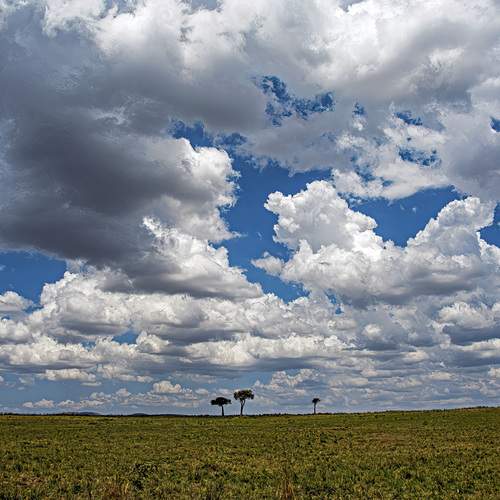 Photo #12145480