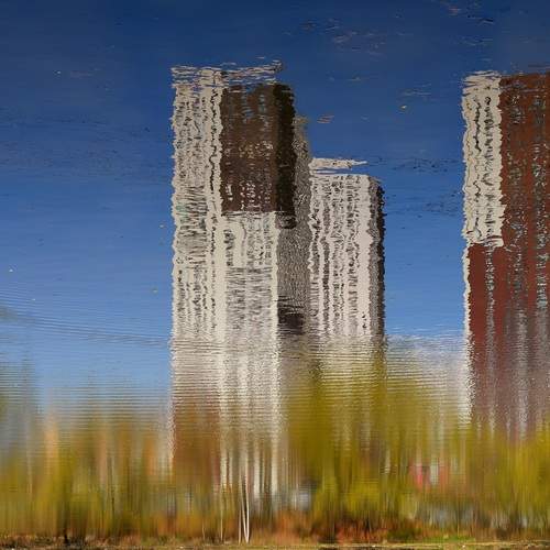 Photo #12145527