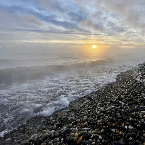 Photo #12145583