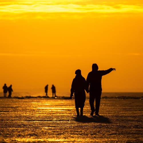 Photo #12145588
