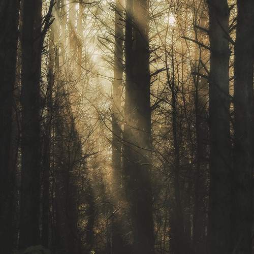 Photo #12145653