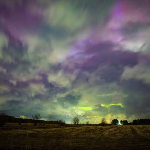 Photo #12146472