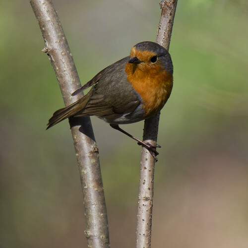 Фотография #12146657