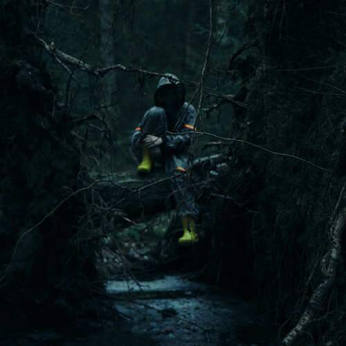 Photo #12147546