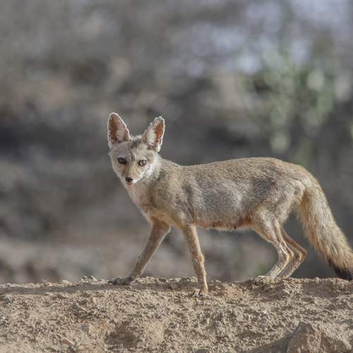 Photo #12148515