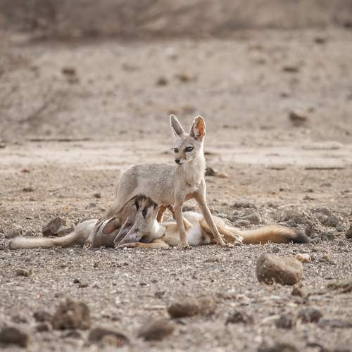 Photo #12148517