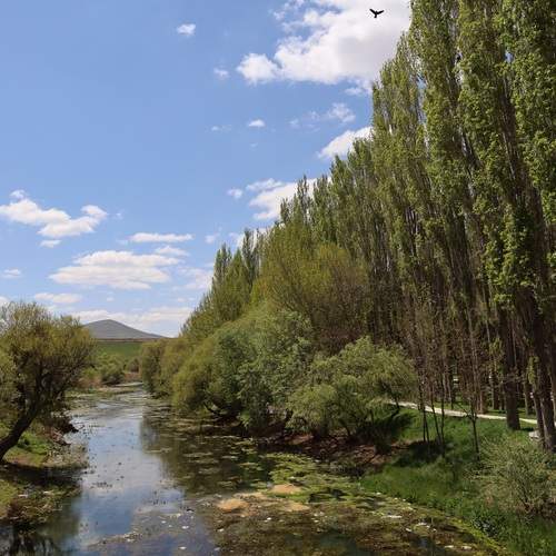 Photo #12149208