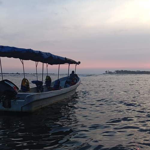 Photo #12149580