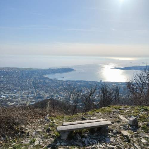 Photo #12149654