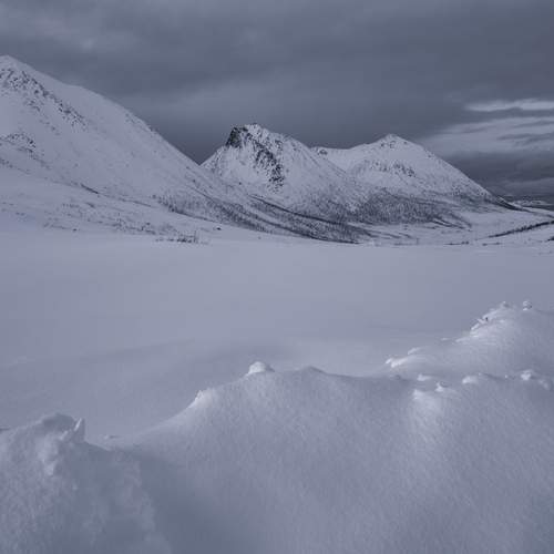 Фотография #12149954