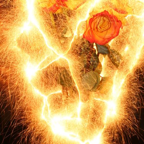 Photo #12149997