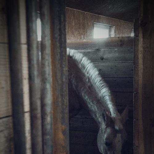 Photo #1215403