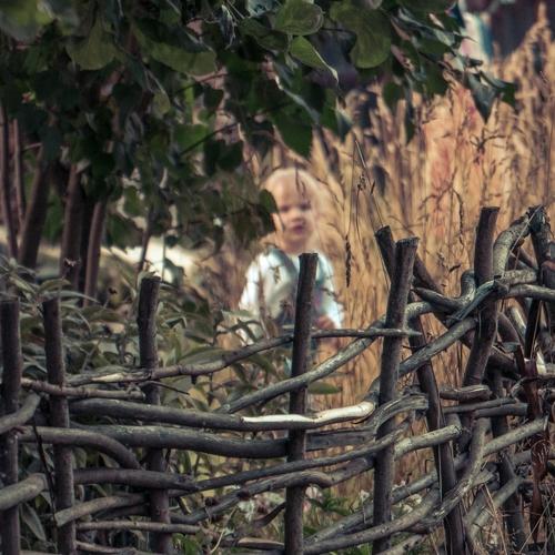 Photo #1215476