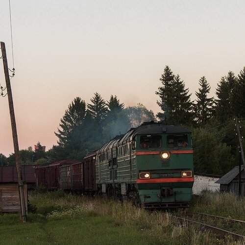 Photo #1215794