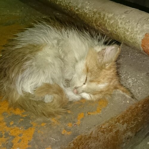 Photo #1215925