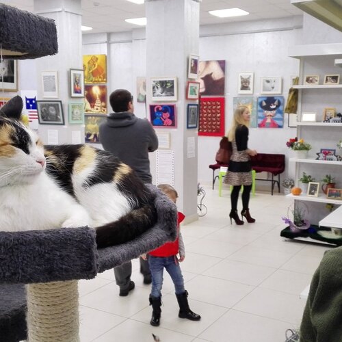 кривляка