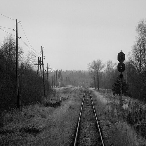 Photo #1217726