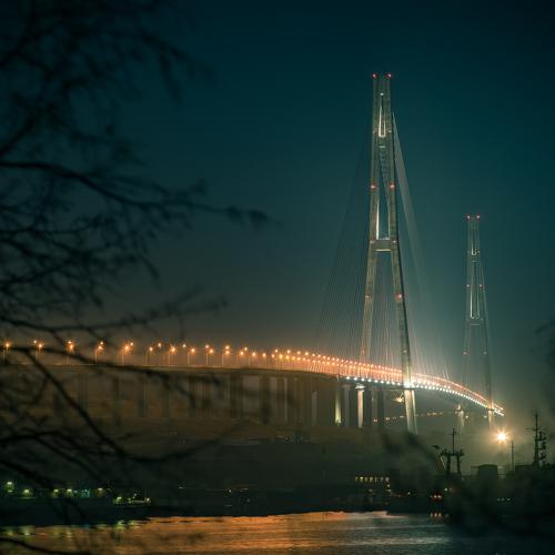 Мост в будущее