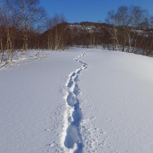 Домой