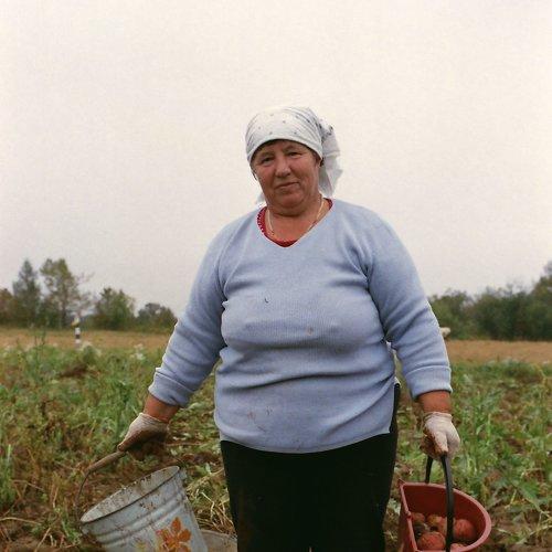 Свезло с урожаем