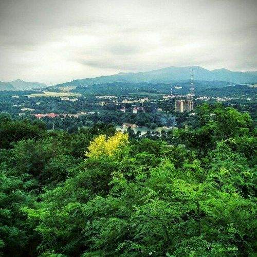 Photo #1219524