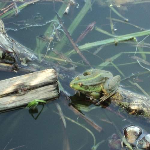 Photo #1219989