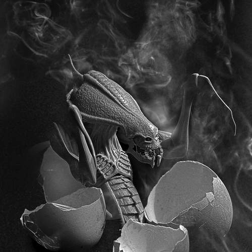Photo #12150012