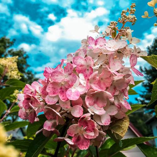 Photo #12150063