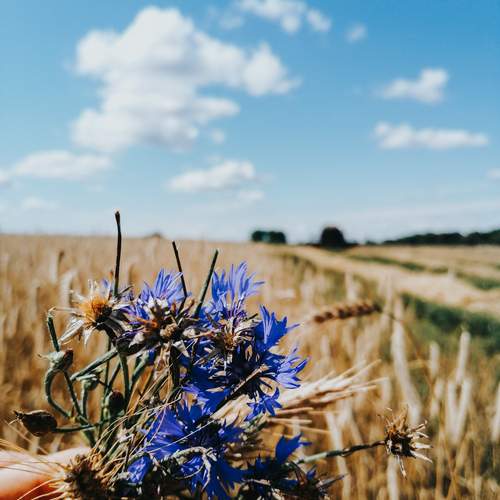 Photo #12150064