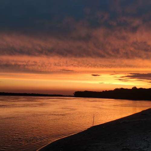 Photo #12150729