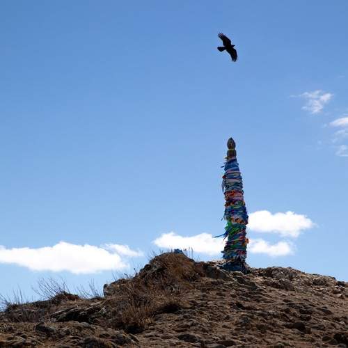 Photo #12151271