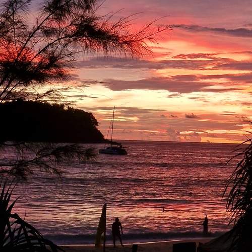 Photo #12151424