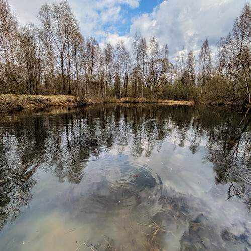 Photo #12151686
