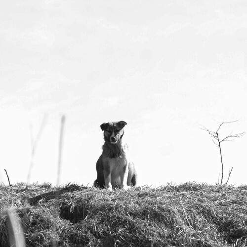 Photo #12151957