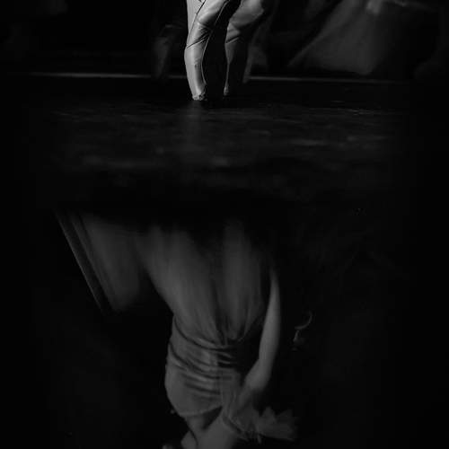 Фотография #12152057