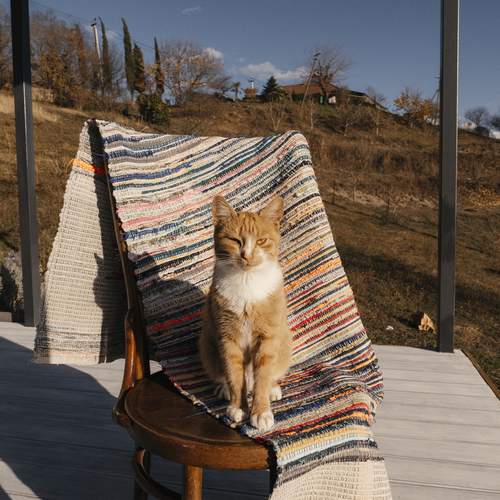 Photo #12152089
