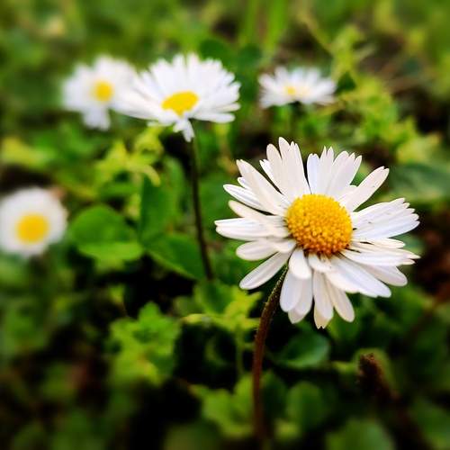 Photo #12152200