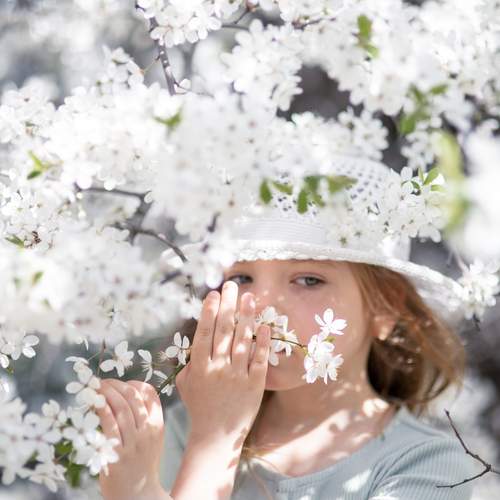 Photo #12152643